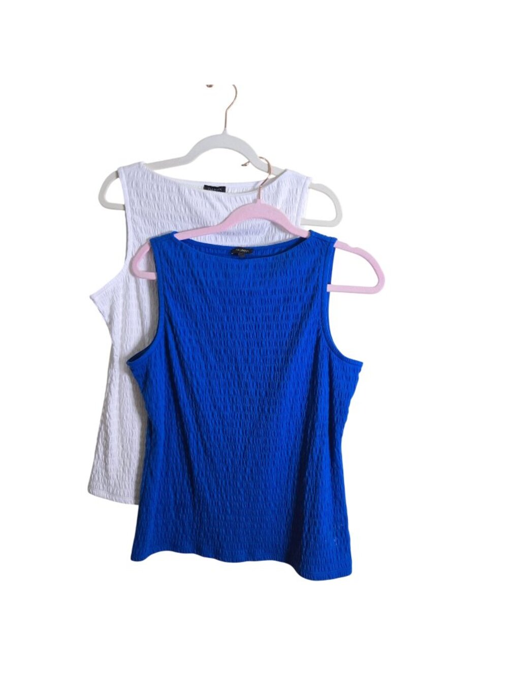 Talbots Lot Of 2 Smocked Bateau Neck Tank 2026 Catalina Blue/White Size M